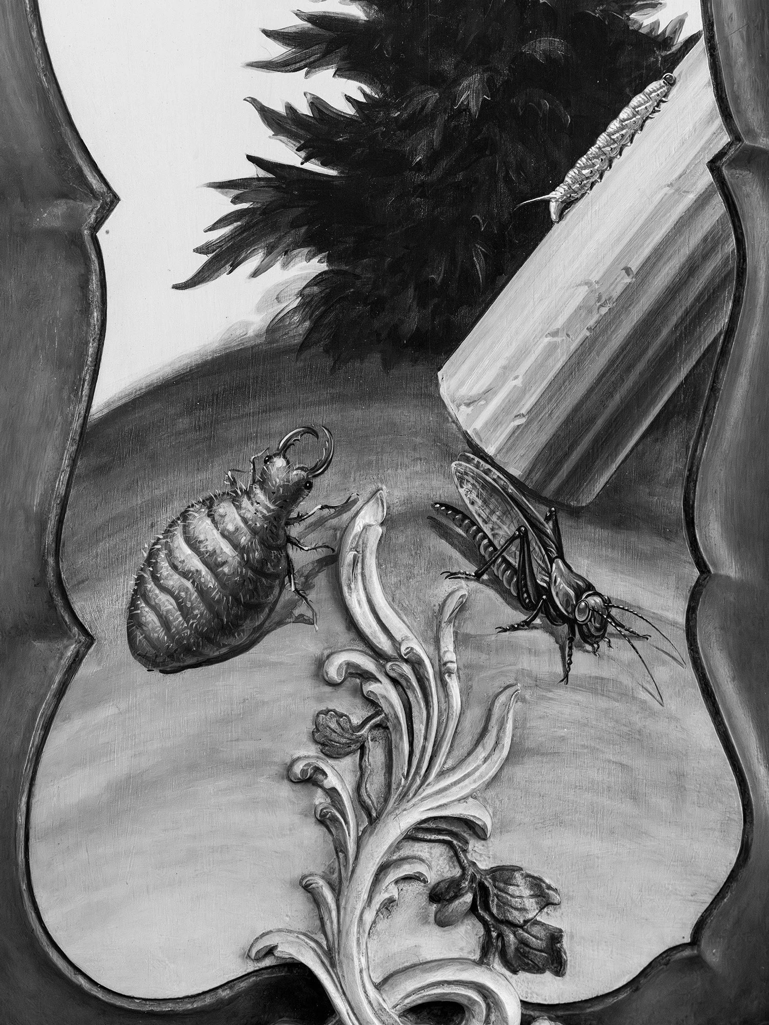 Insects