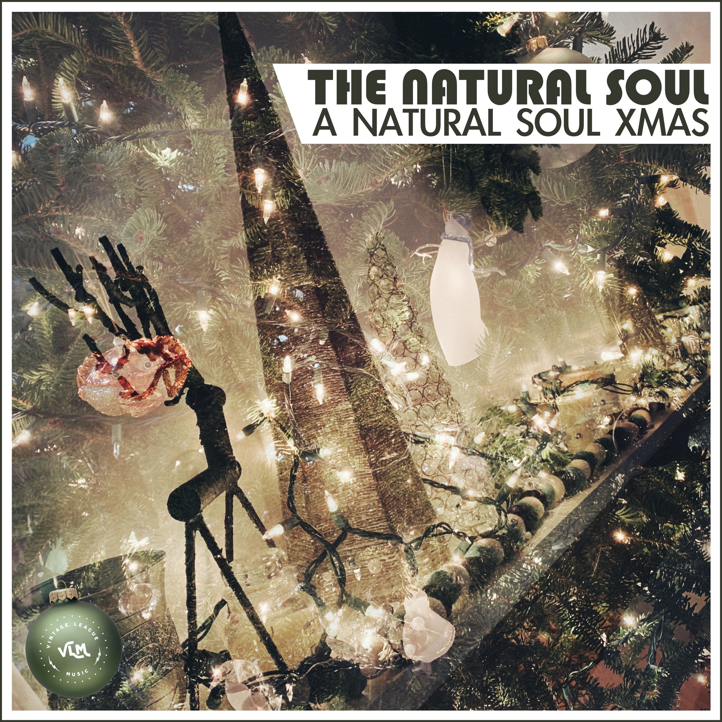 The Natural Soul - A Natural Soul Xmas final for website.jpg