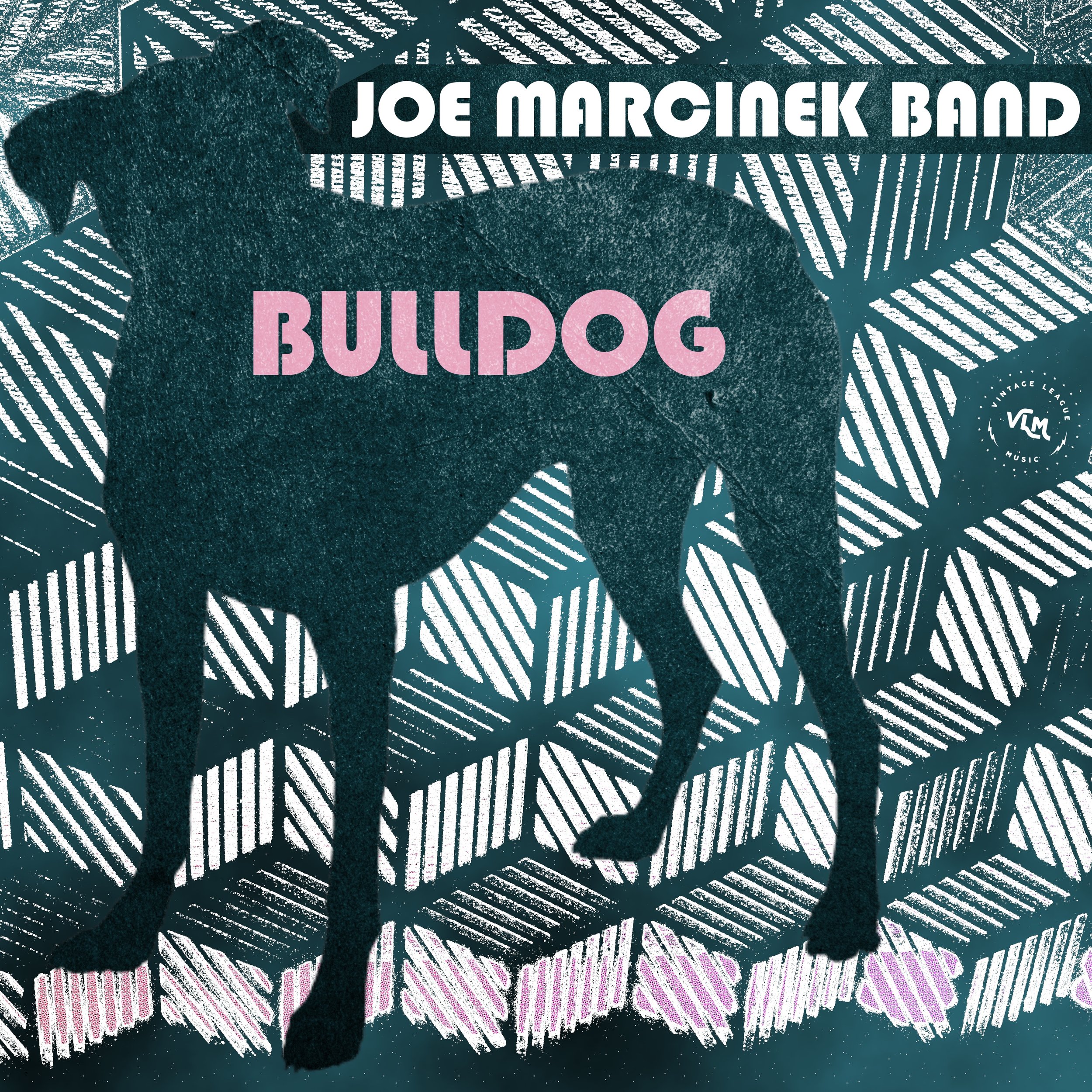 Joe Marcinek Band single art - small.jpg