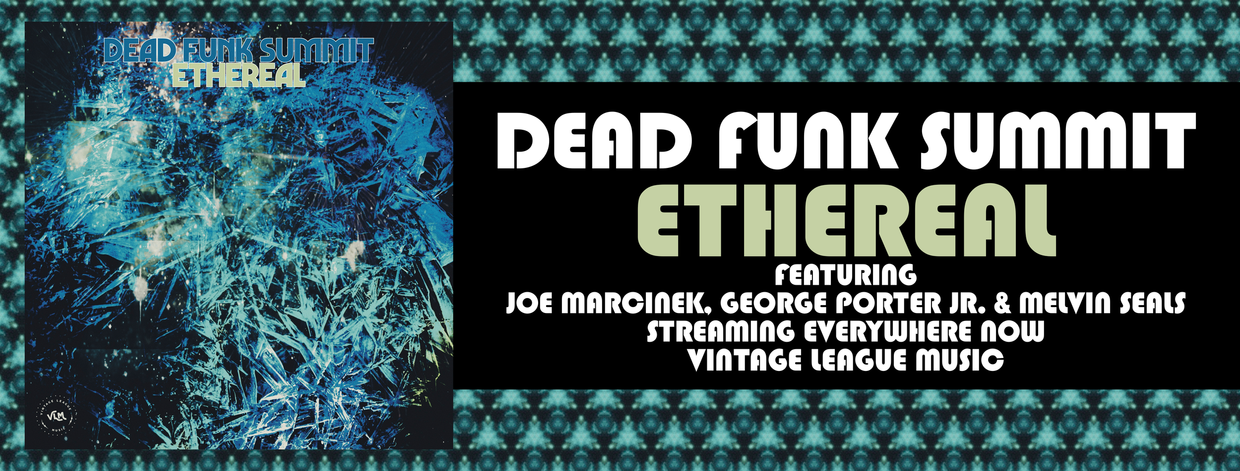 Dead Funk Summit Banner@3x.png