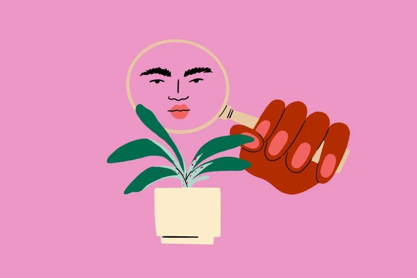 Combat les plagues de primavera