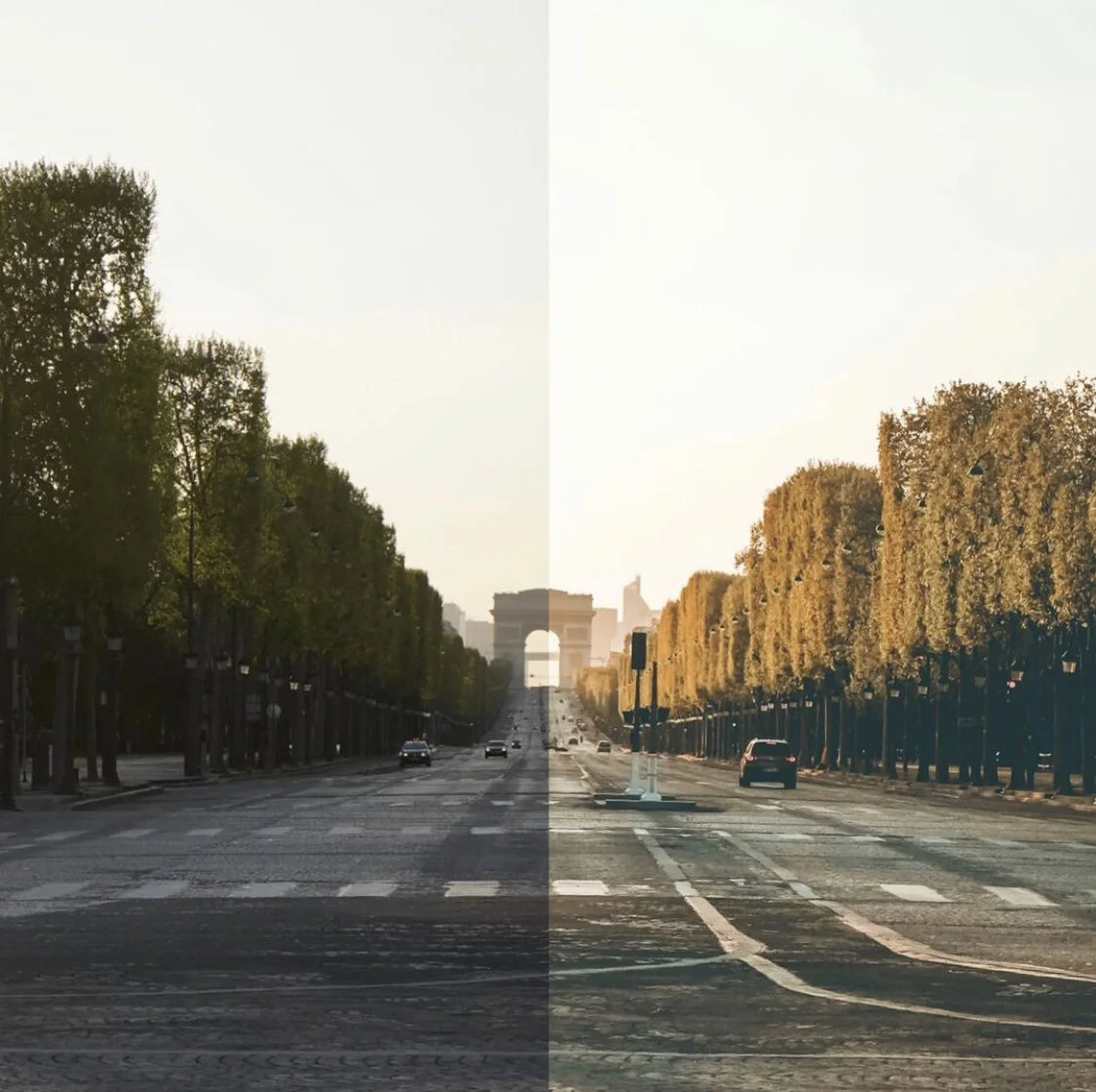 5 Motivi per cui scaricare Lightroom Mobile 