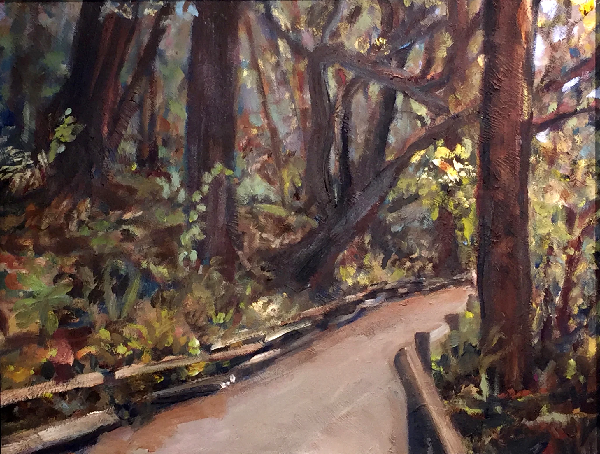 Muir Woods; oil on linen; 18 in x 24 in.jpg