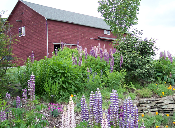 Landis Arboretum: Educational, nonprofit public gardens teaching natural history, botany and horticulture.