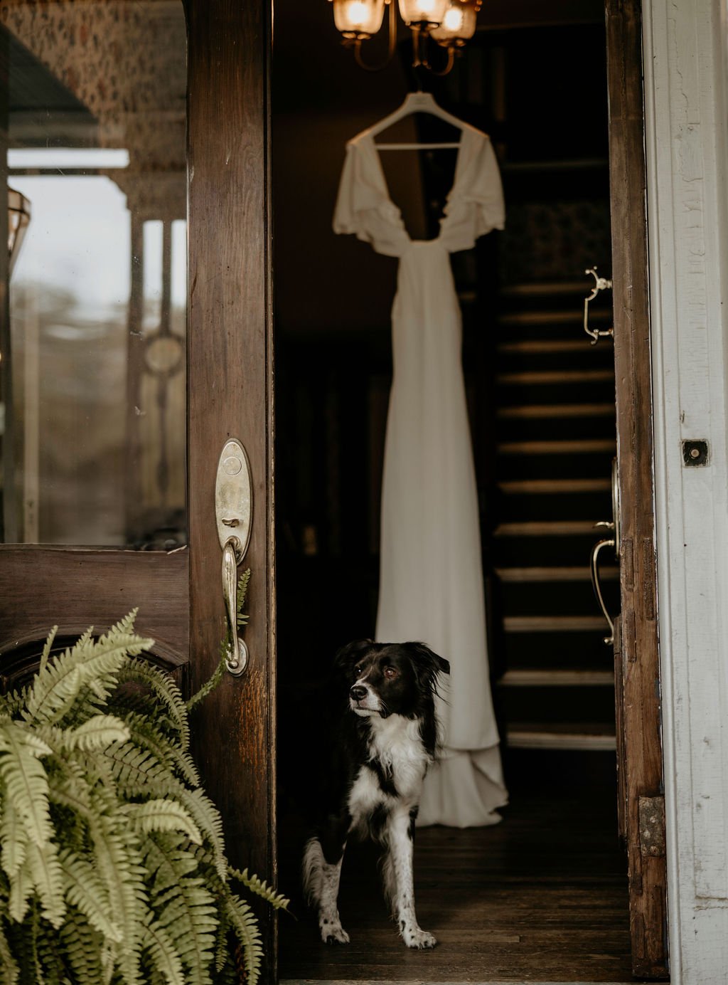 Chill_Wedding_Upstate_NY_9_Dog_Doorway_Dress.jpg