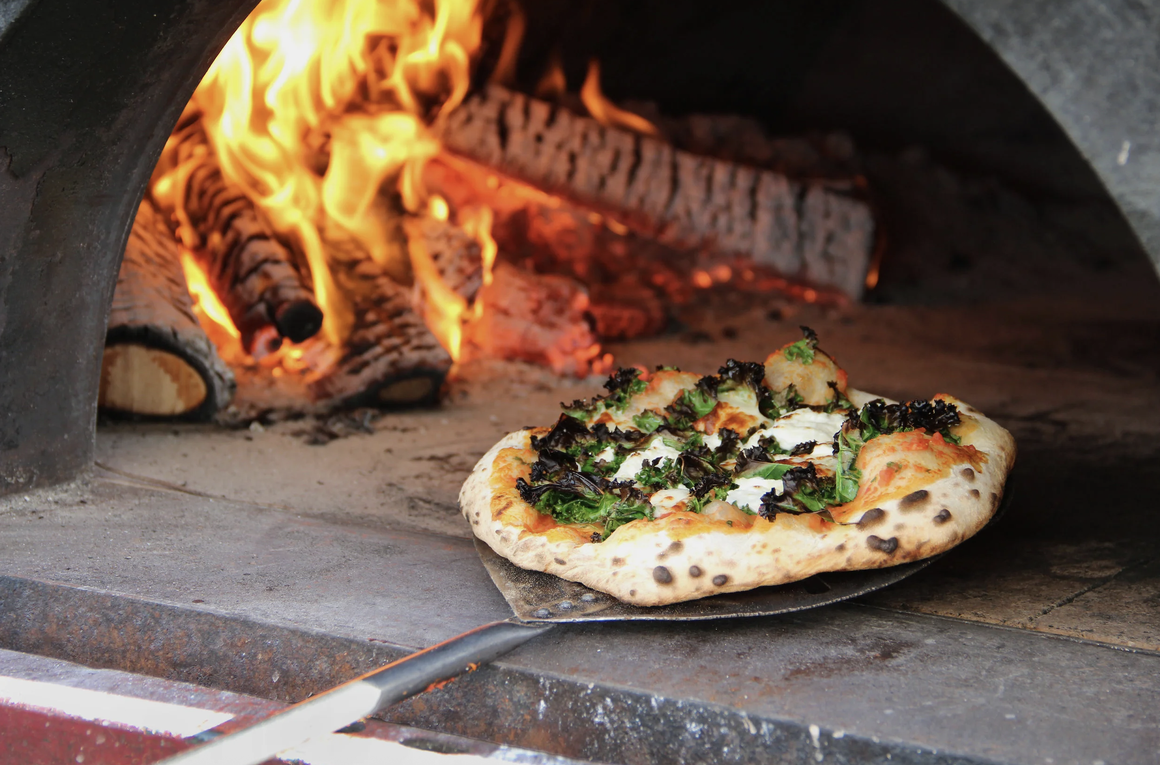 Screenshot 2026-02-10 at 12.28.32 PM.png