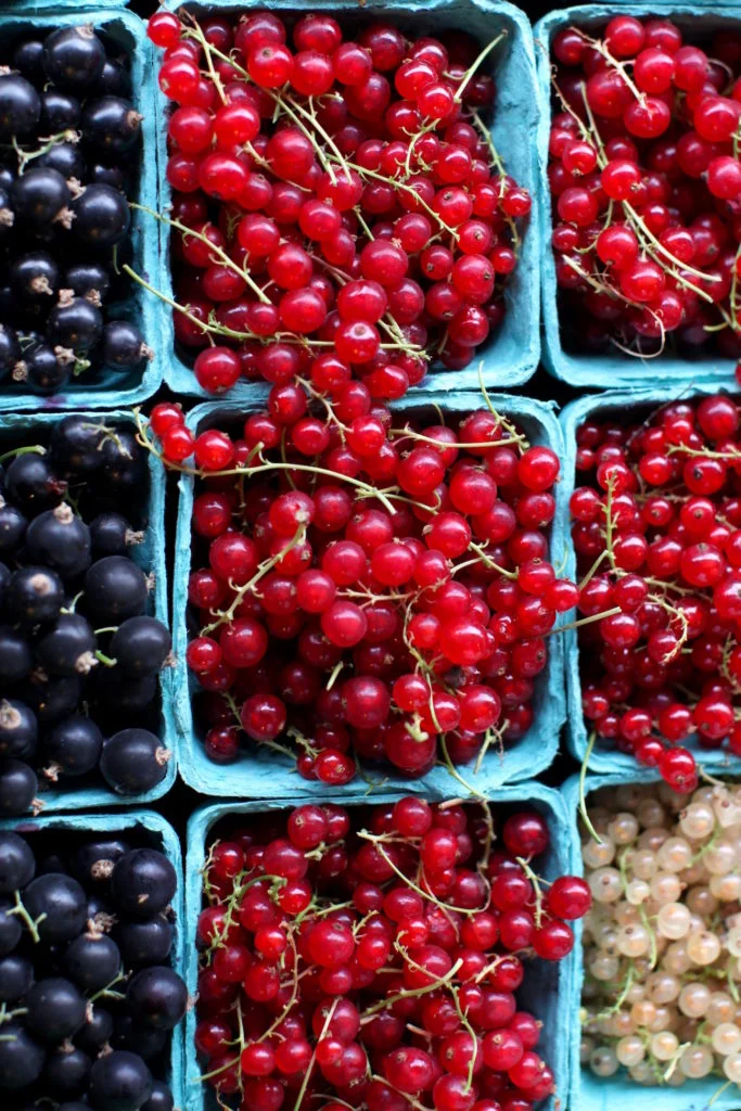 market-finds-683x1024.jpg