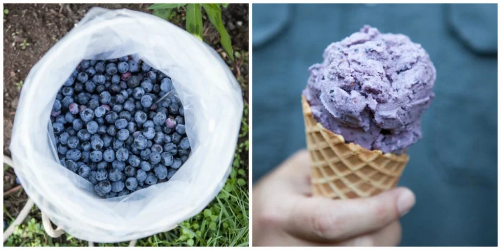 Blueberry-Ice-Cream-1024x512.jpg