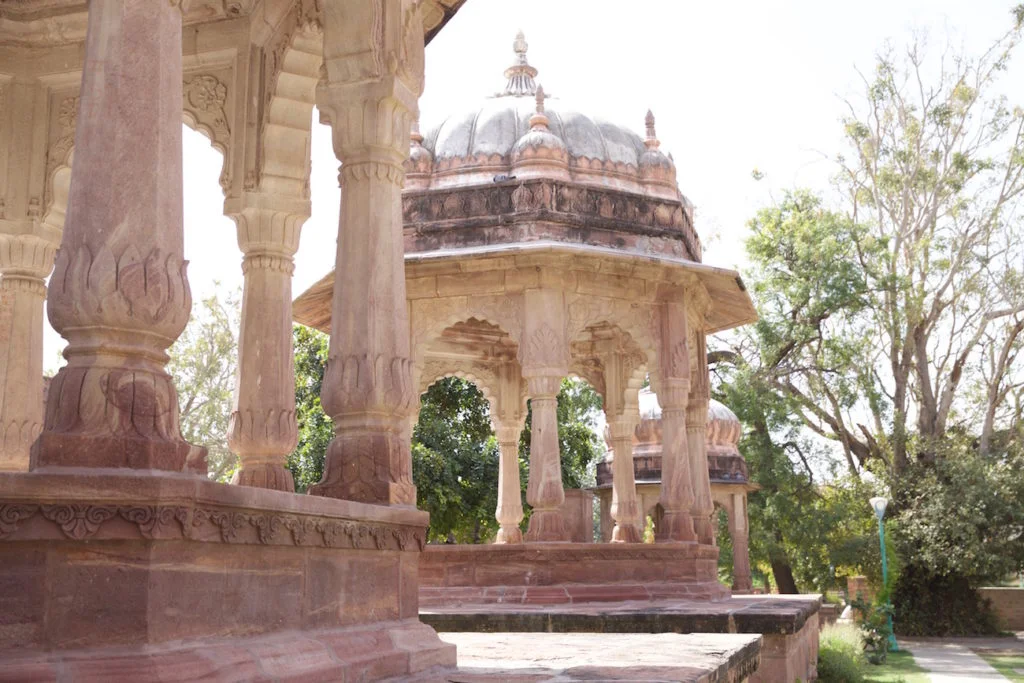 c.chitnis-India_6156-1024x683.jpg