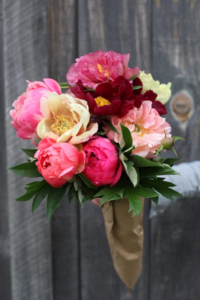 c.chitnis-peony-farm_5633-683x1024.jpg