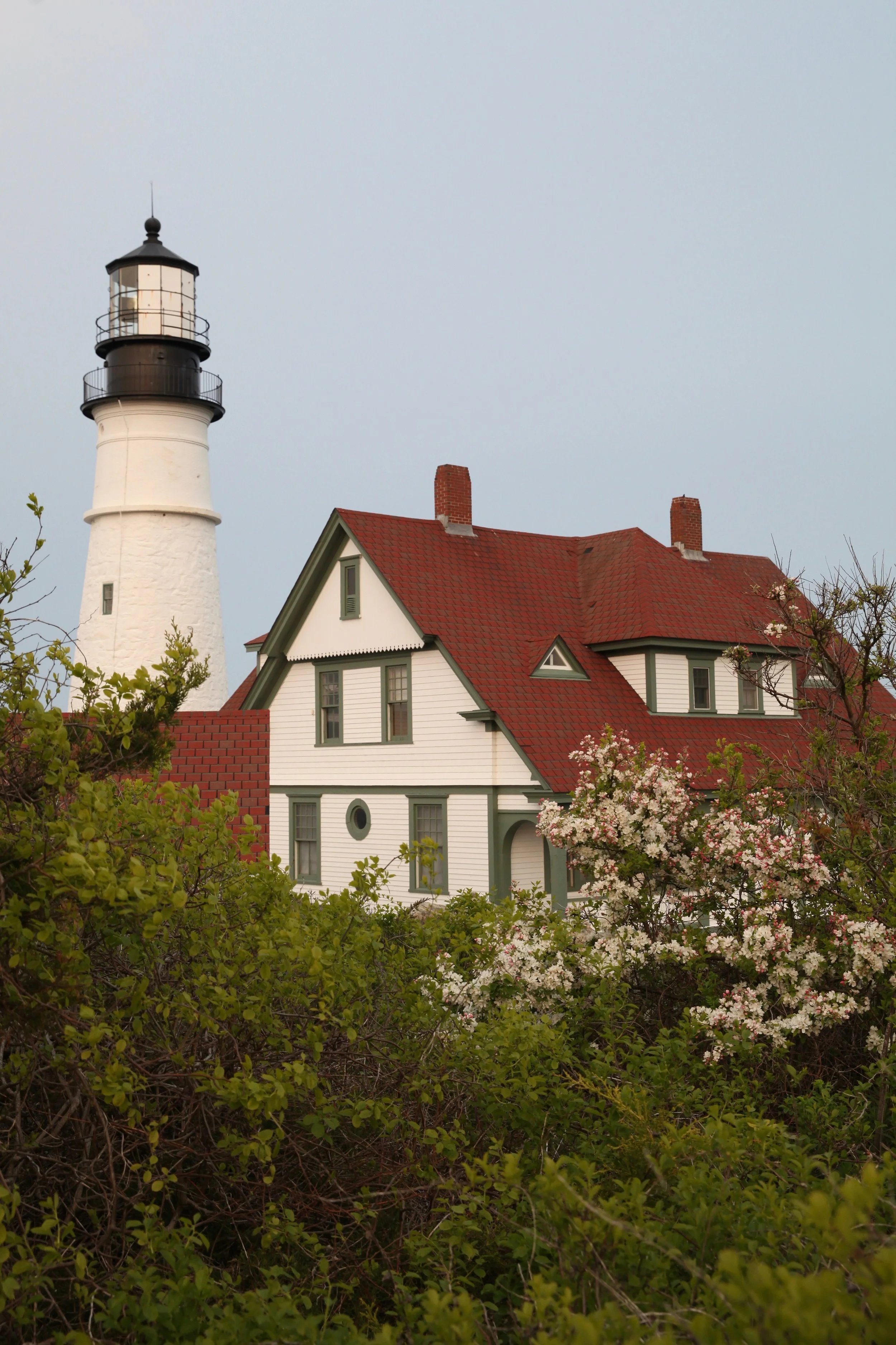 Portland Head Lighthouse.jpg