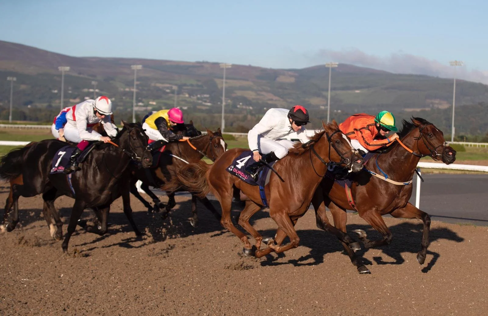 WhatsApp Image 2019-09-20 at 18.24.32.jpeg