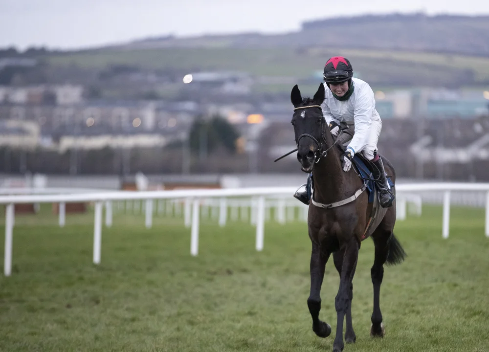 Derek James Racing Syndicate Syndicates.Racing | Racehorse Shares | UK, Ireland
