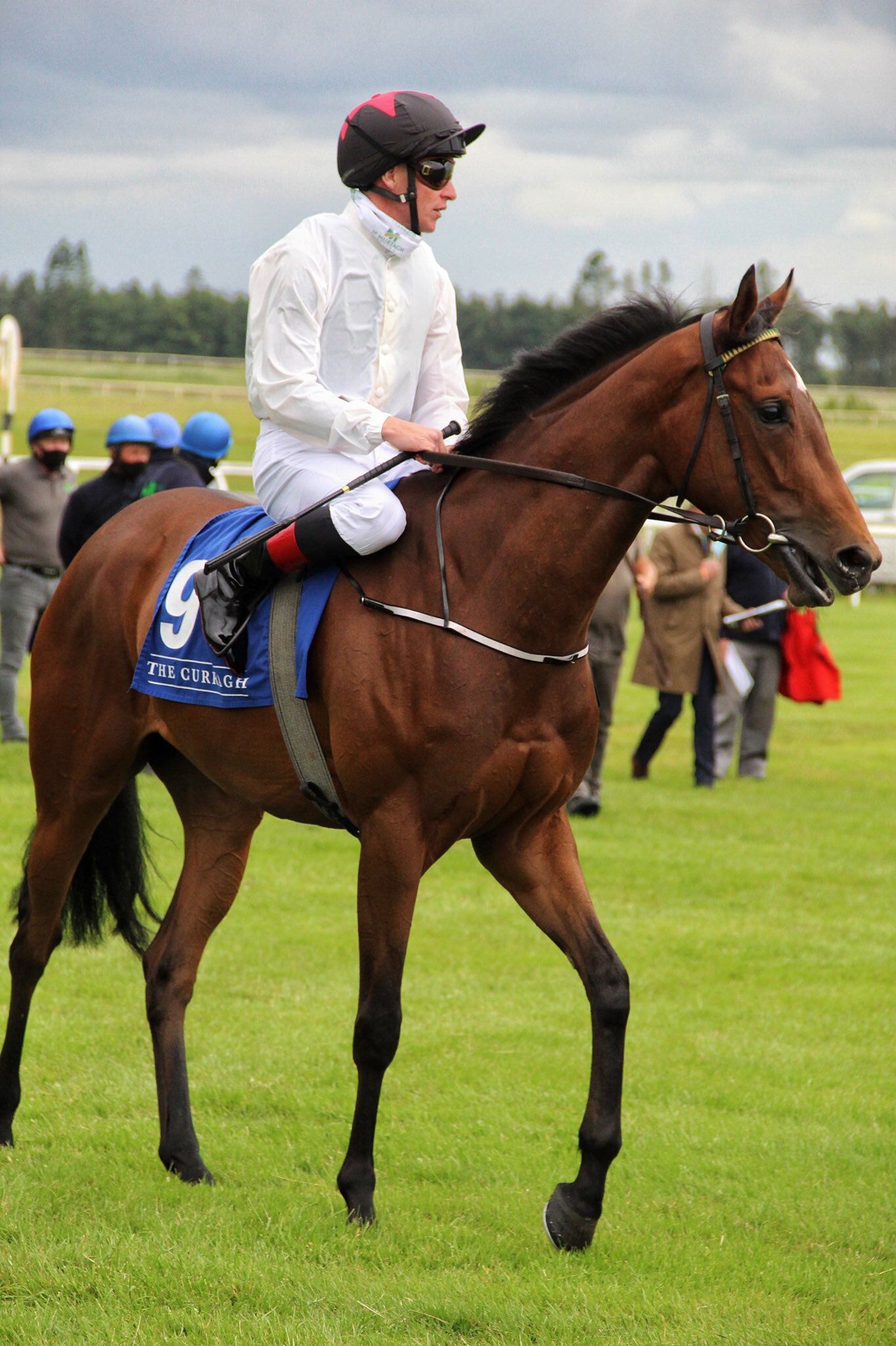 Curragh 2.jpeg