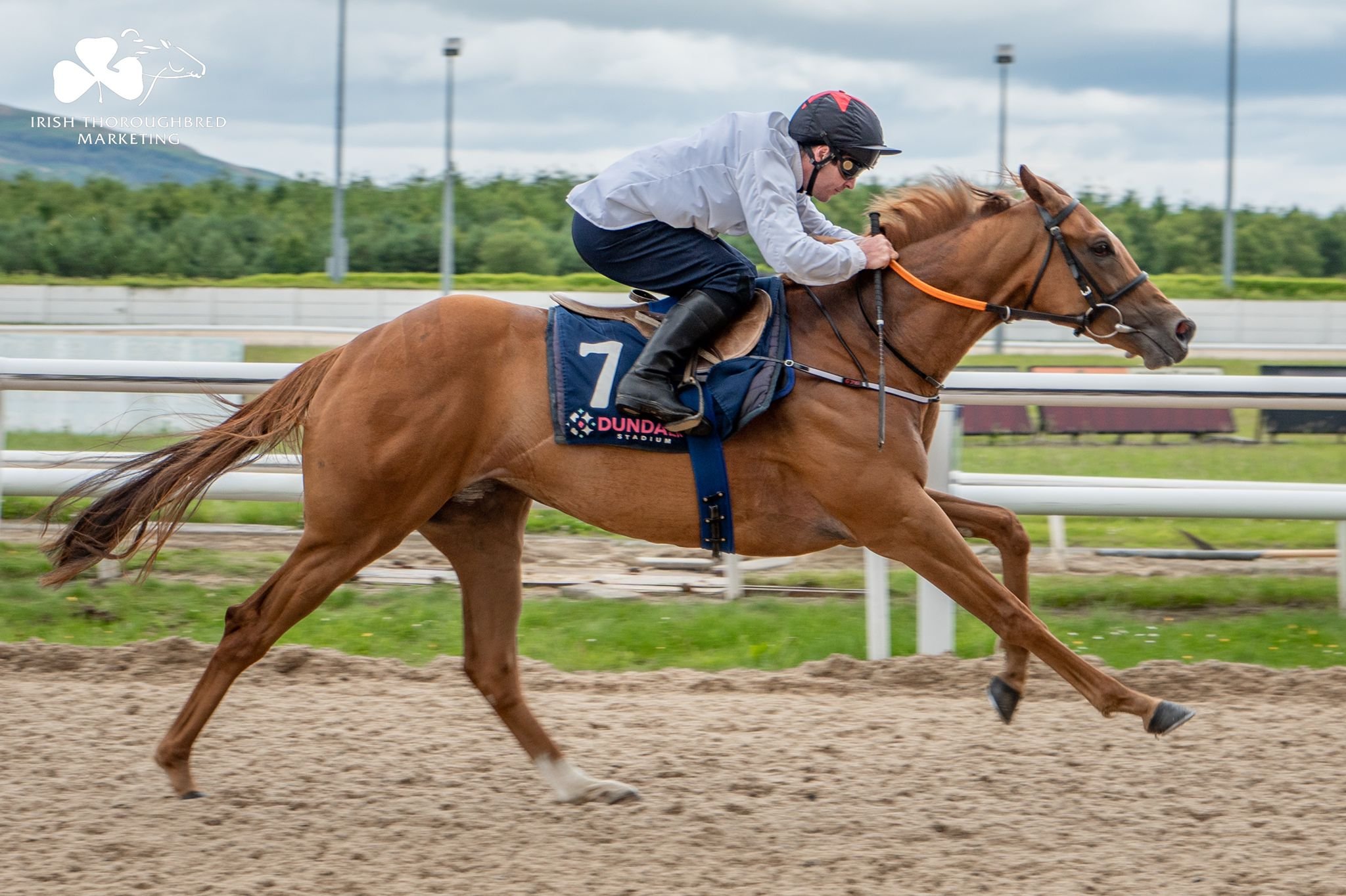 Barrier Trails 1.jpeg