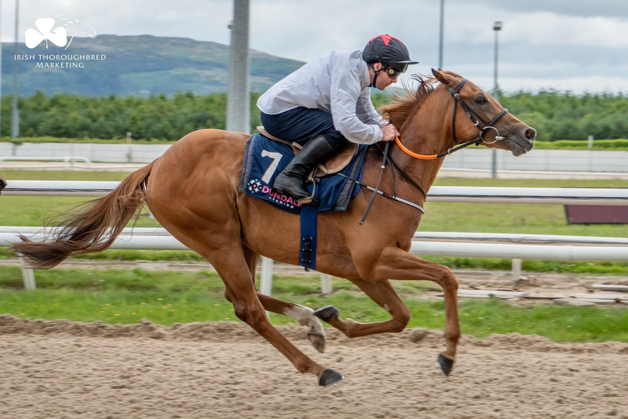 Baarrier Trails 4.jpeg