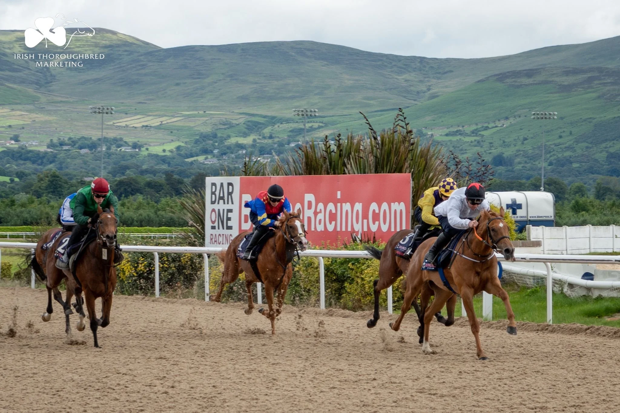 Barrier Trails 2.jpeg