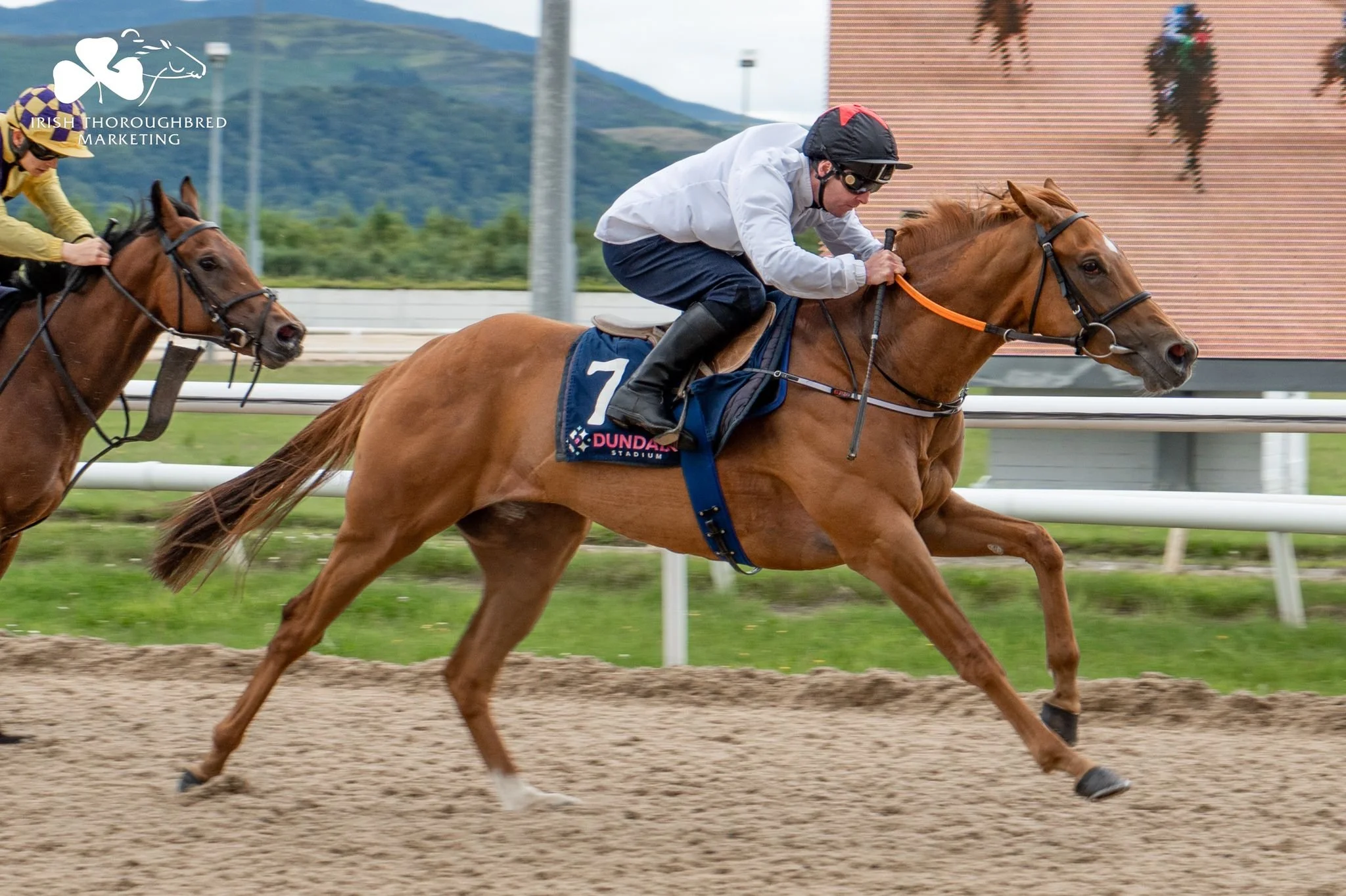 Barrier Trails 3.jpeg