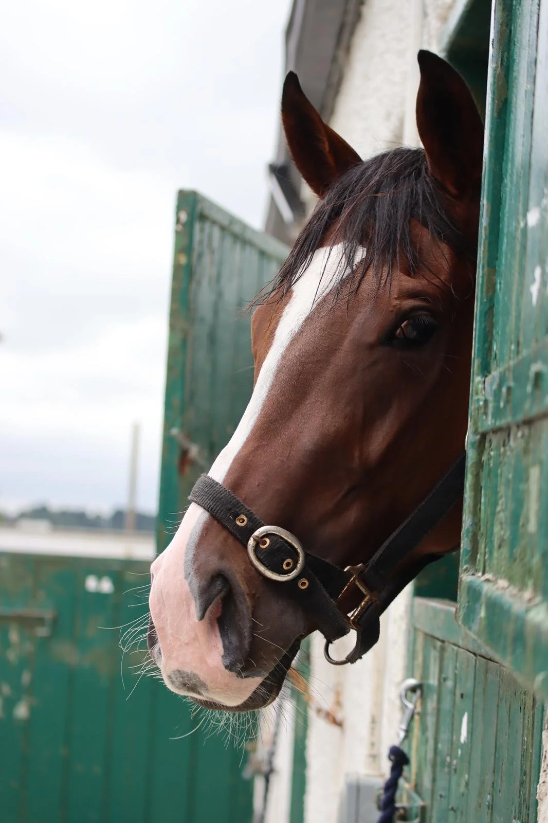 Curragh Headshot.jpeg