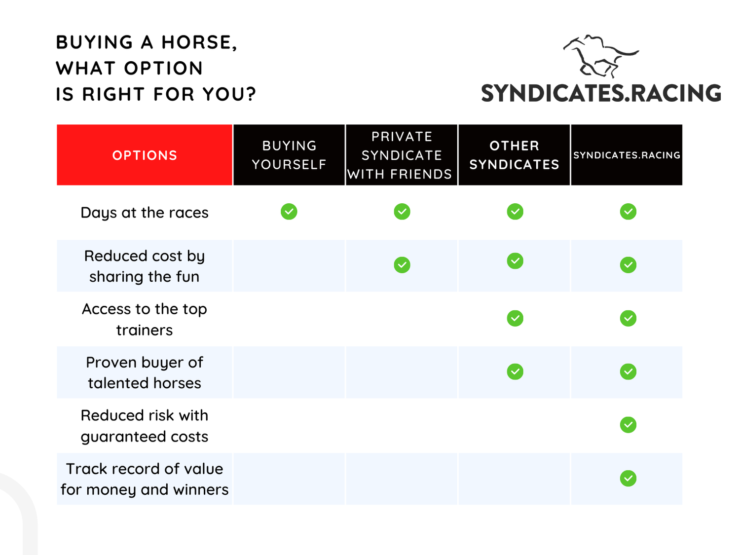 Is It Worth Buying Shares In A Racehorse
