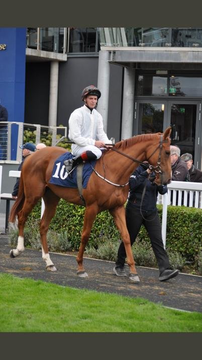 WhatsApp Image 2022-09-15 at 7.06.54 PM (1).jpeg