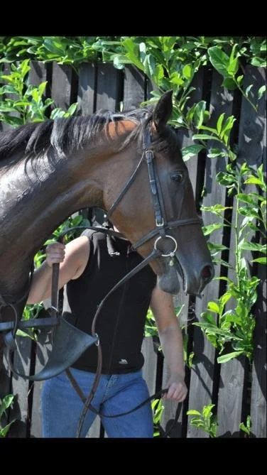 WhatsApp Image 2022-08-13 at 1.15.26 PM.jpeg