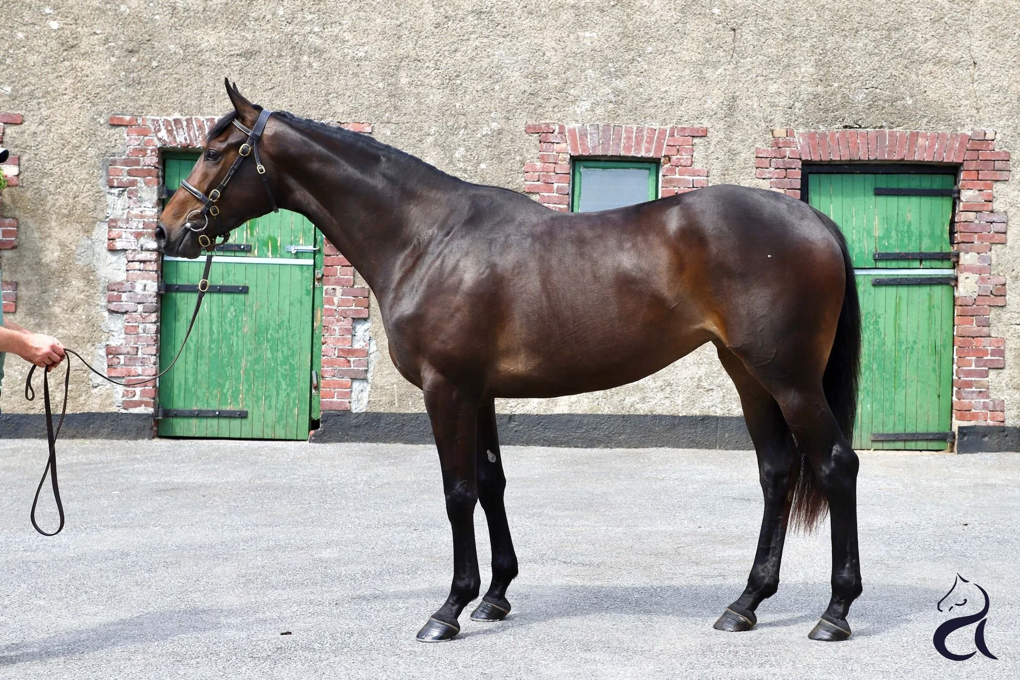 WhatsApp Image 2023-07-18 at 11.29.30.jpeg