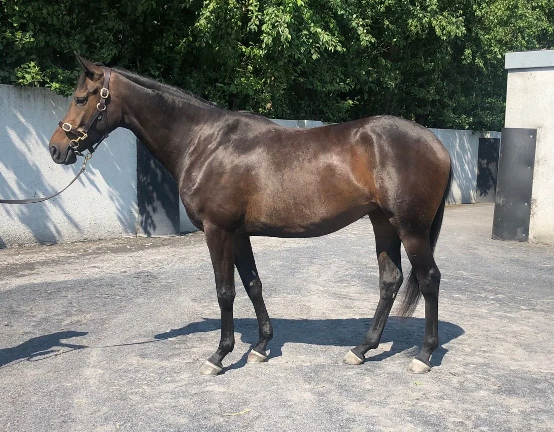 WhatsApp Image 2023-07-18 at 11.29.29.jpeg