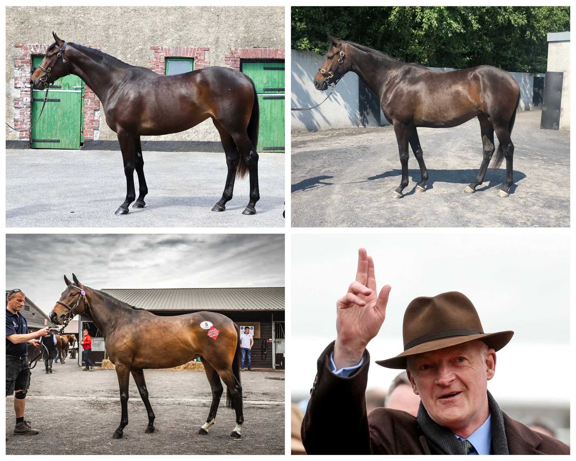 WhatsApp Image 2023-07-28 at 13.31.46.jpeg