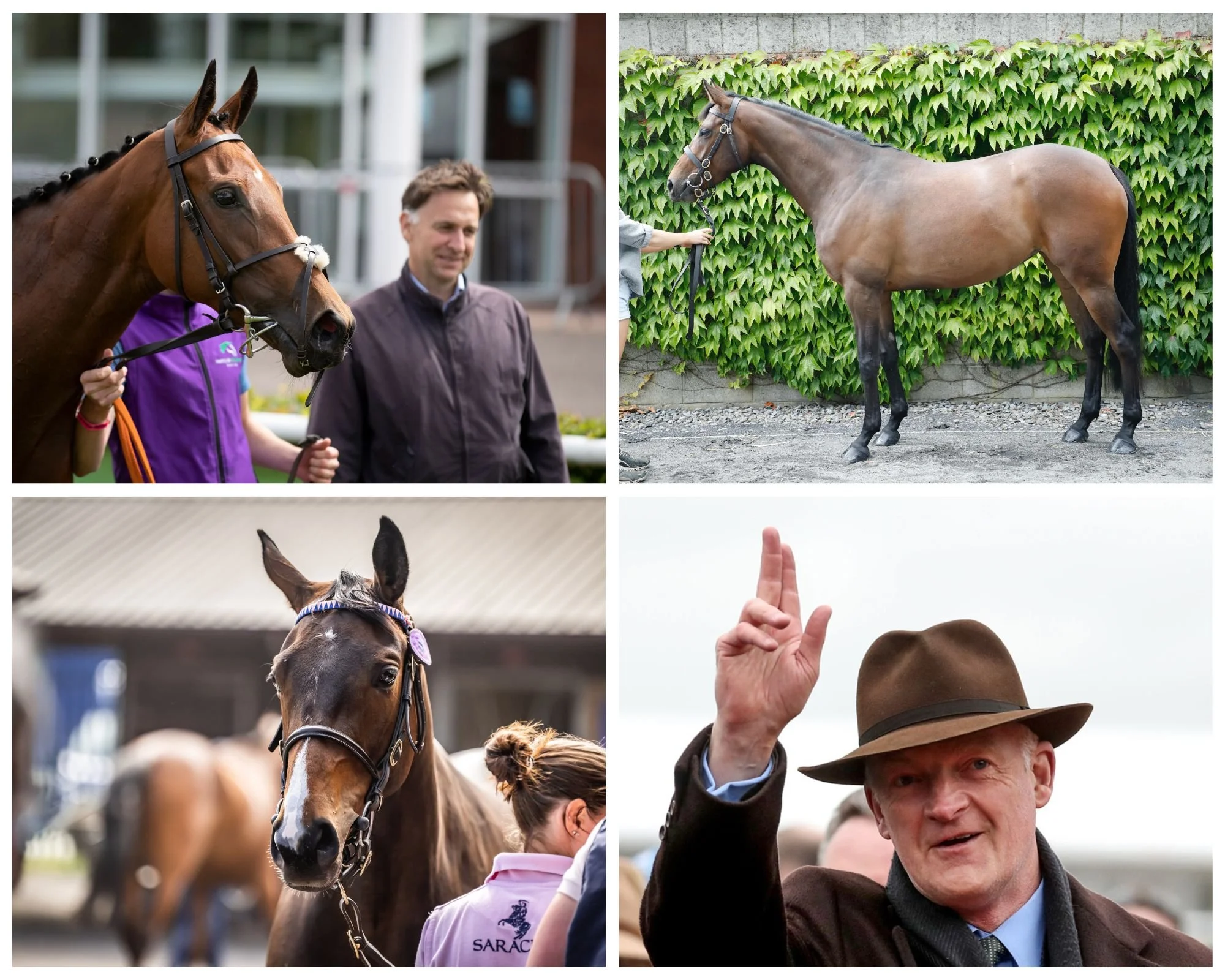 WhatsApp Image 2023-07-28 at 13.31.46 (2).jpeg