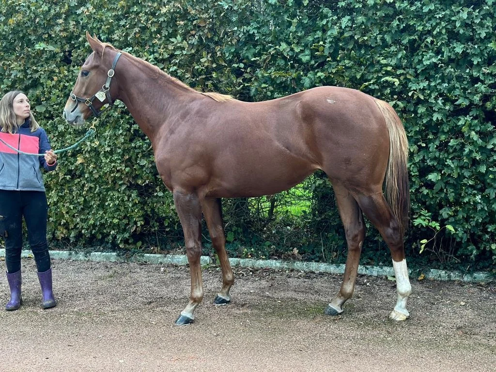 WhatsApp Image 2023-12-01 at 12.13.03.jpeg