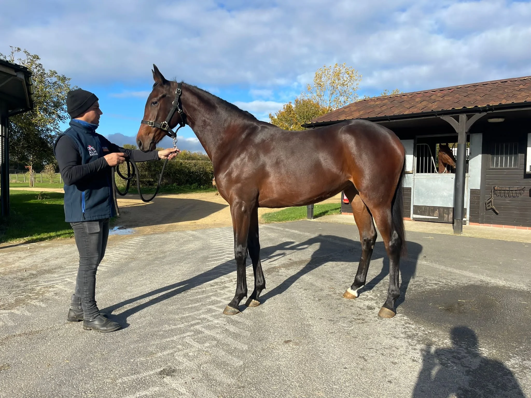 Study of Man ex Strong and Stable.jpeg