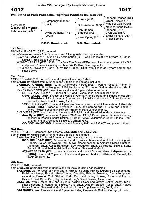 Pedigree - Starspangledbanner ex Divine Authority.jpeg