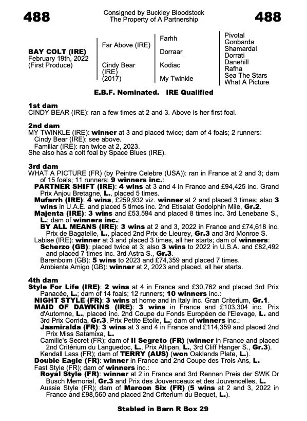 WhatsApp Image 2023-12-01 at 12.01.08.jpeg