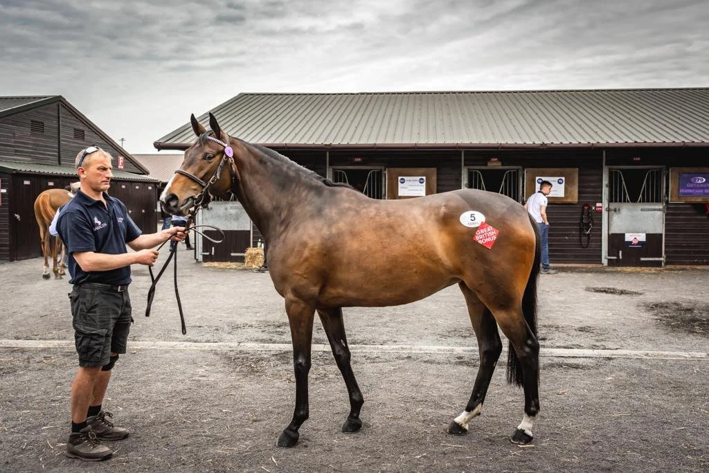 Cabaret Princess.jpeg