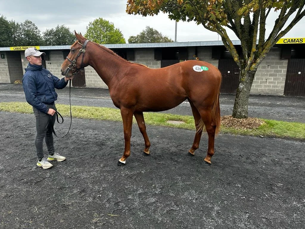 Raven's Pass ex Seschat.jpeg