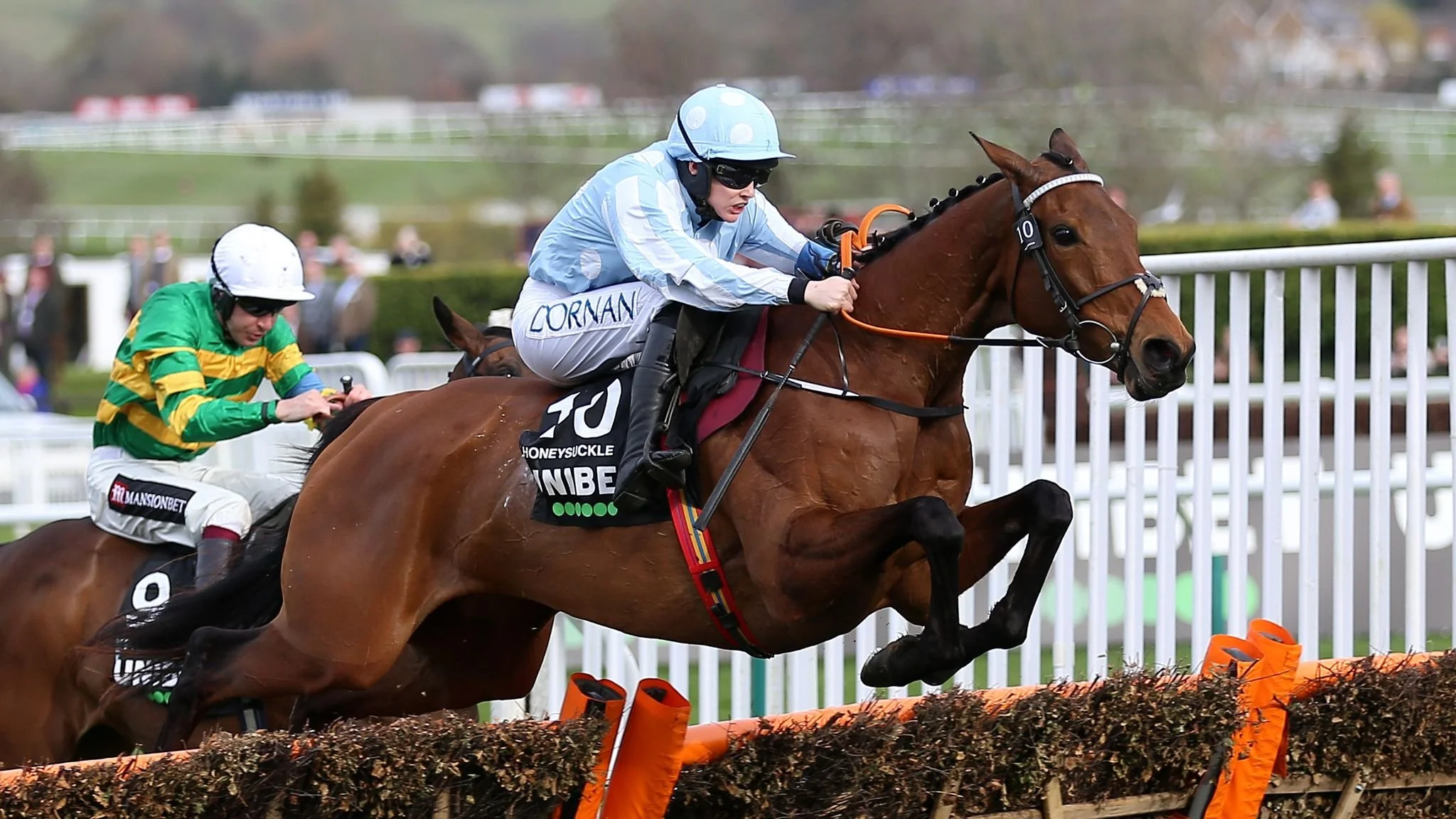 The Tueday Take:  Hands off the Mares’ Hurdle 