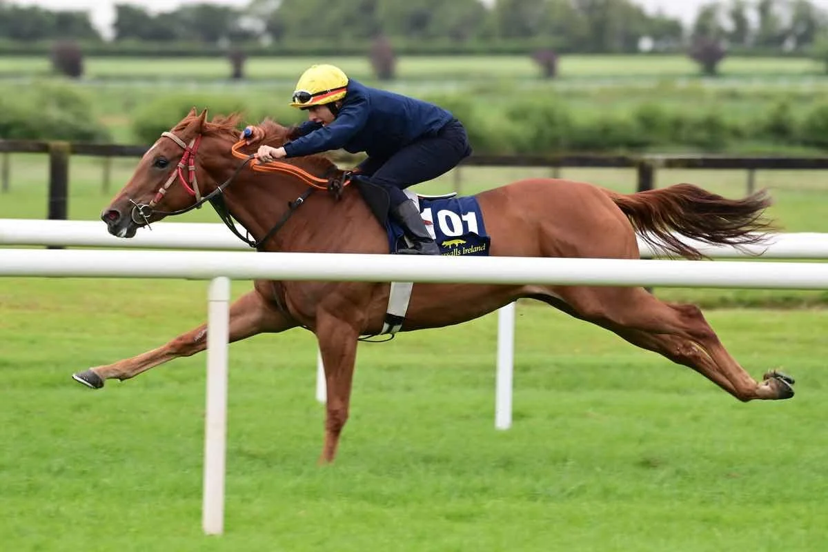 Lot101 Far Above.jpeg