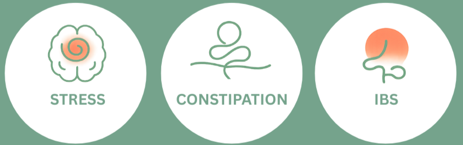 Support for stress-related gut symptoms, constipation and IBS with London gut health nutritionist Amanda Callenberg.