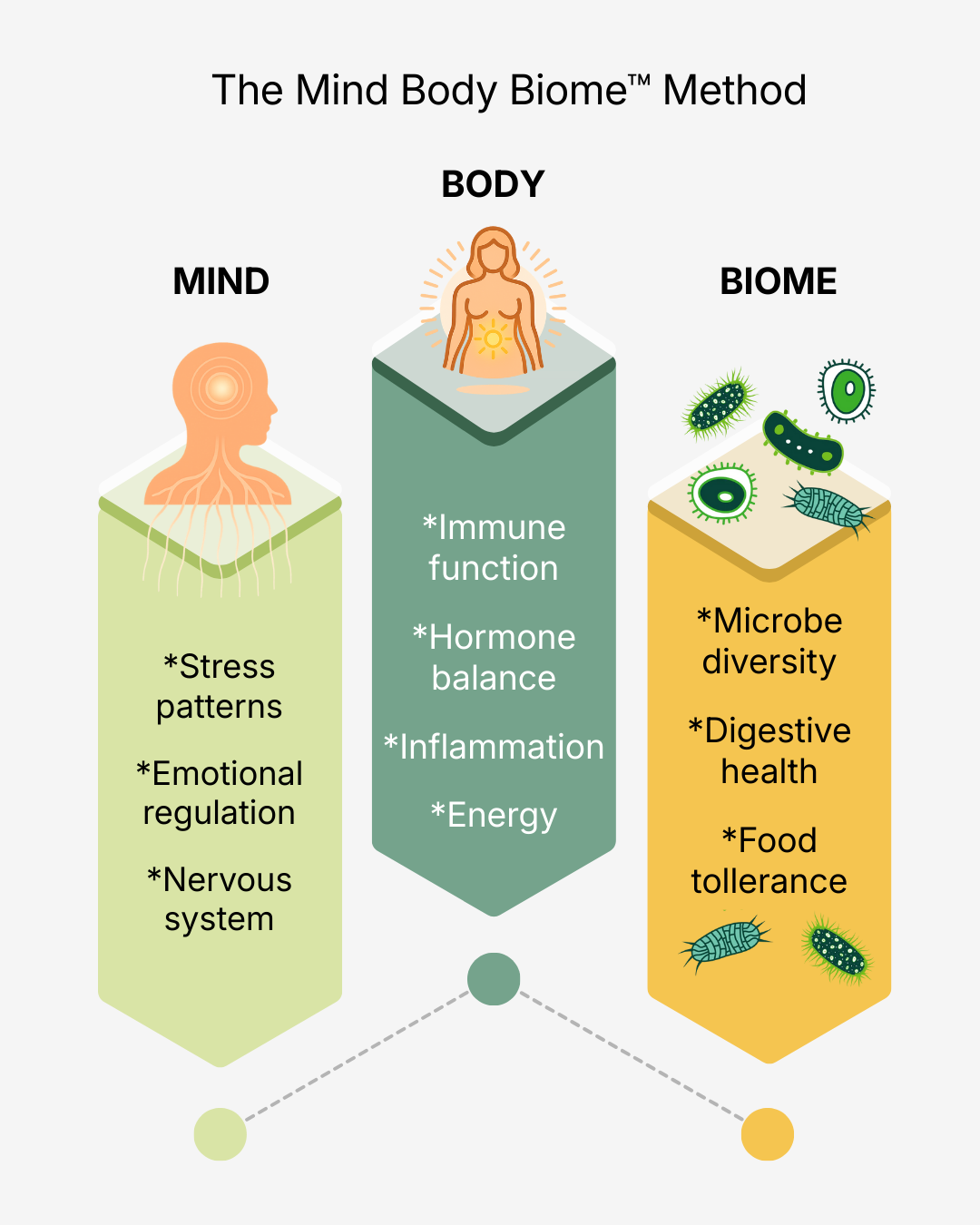 Mind Body Biome Method illustration showing the integration of mind, body and microbiome for IBS support.