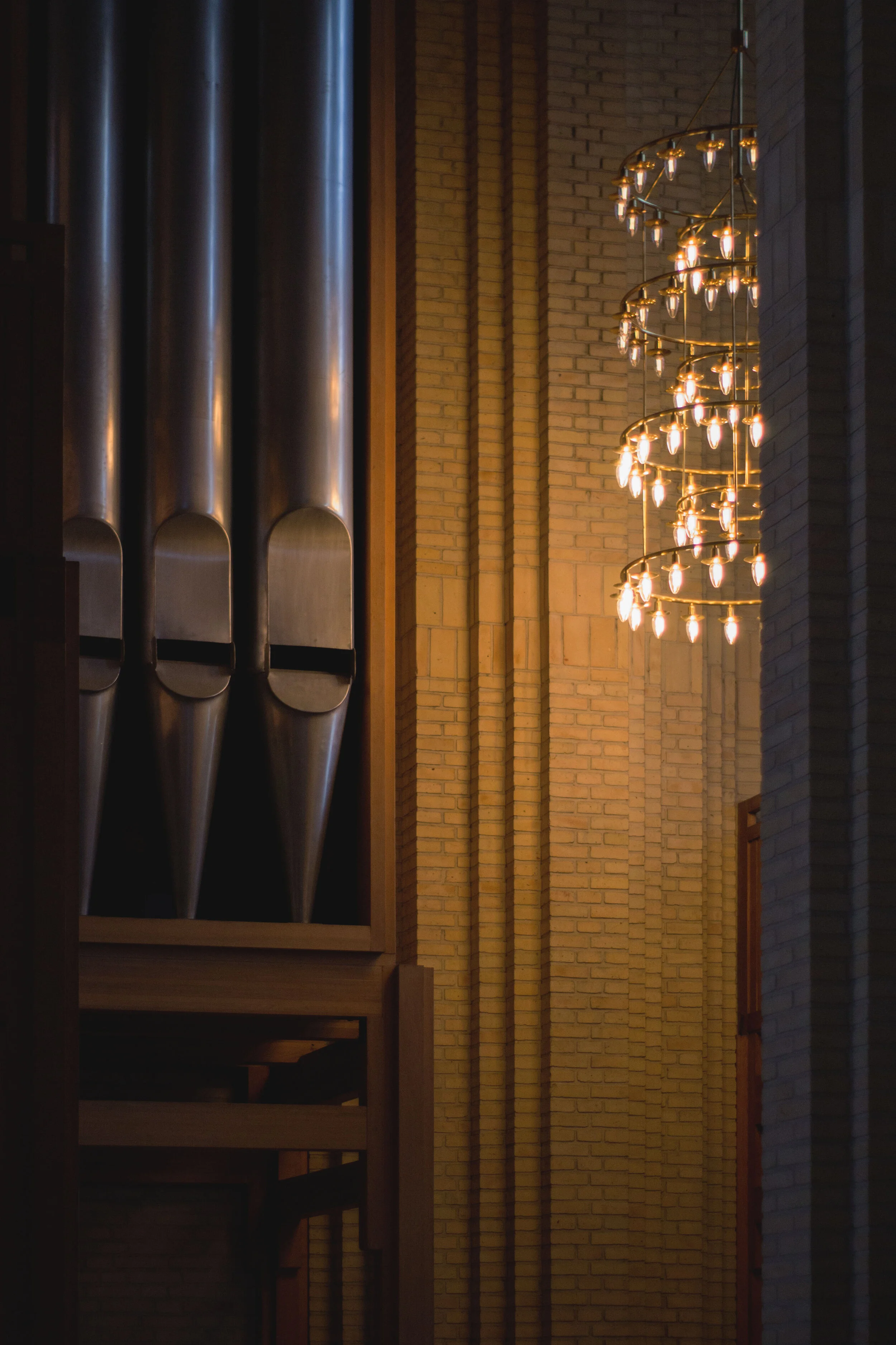 CPH_002_Organ.jpg