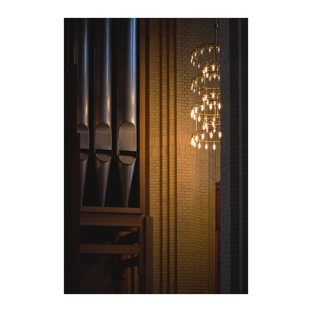 Organ