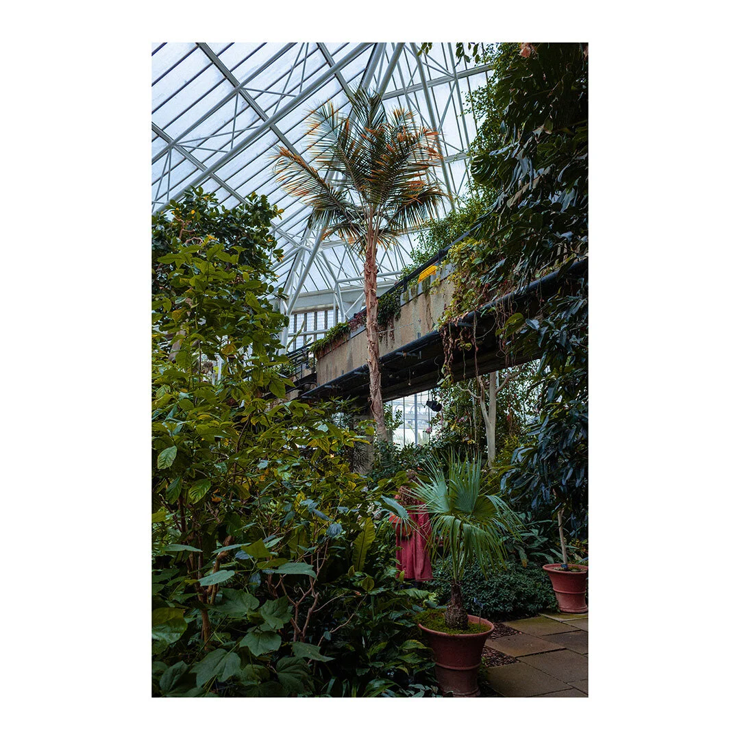 Oasis III