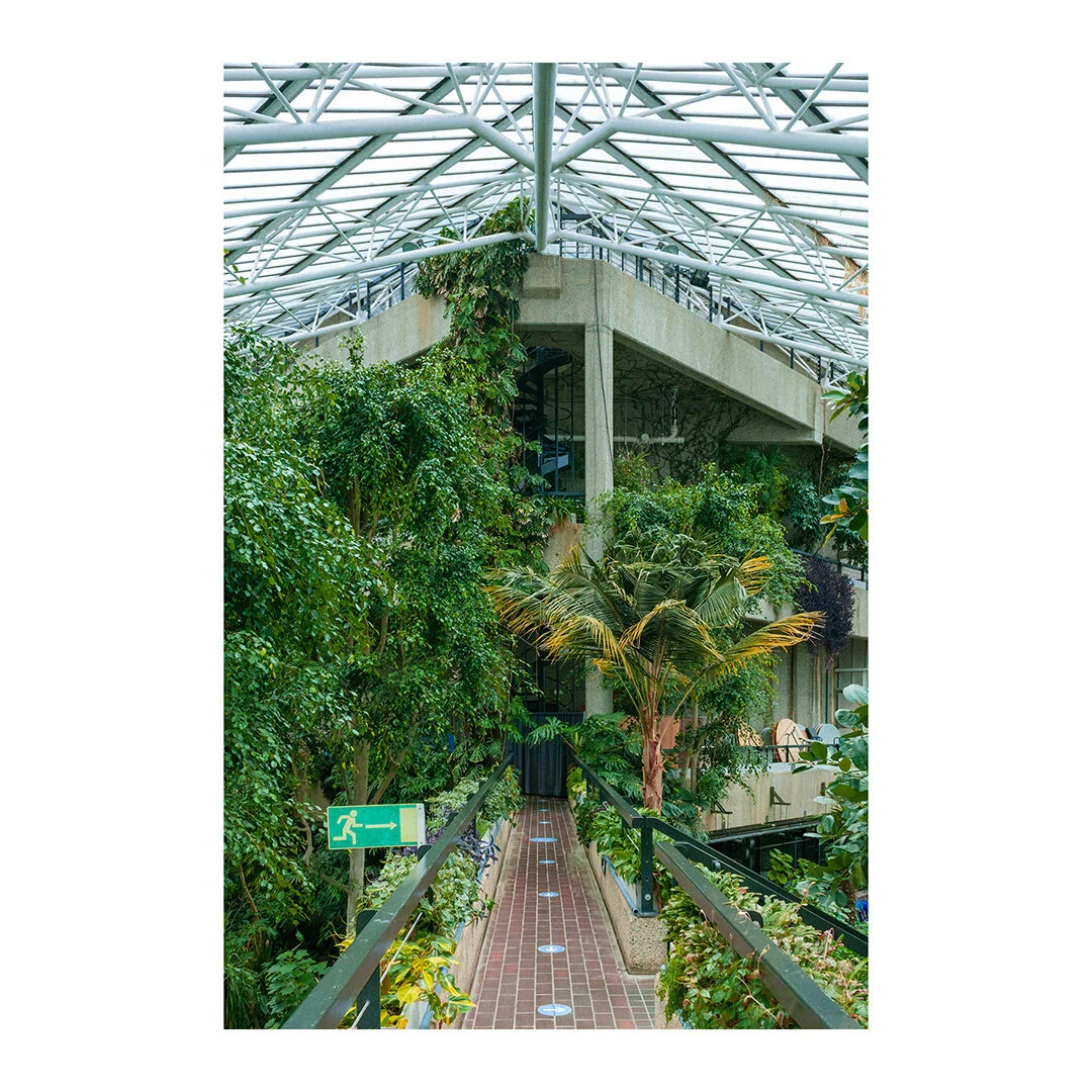 Oasis II