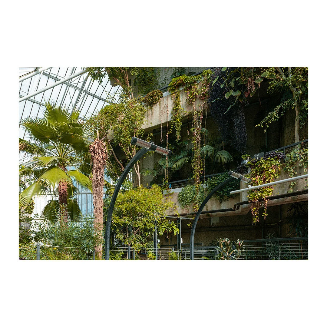 Oasis I