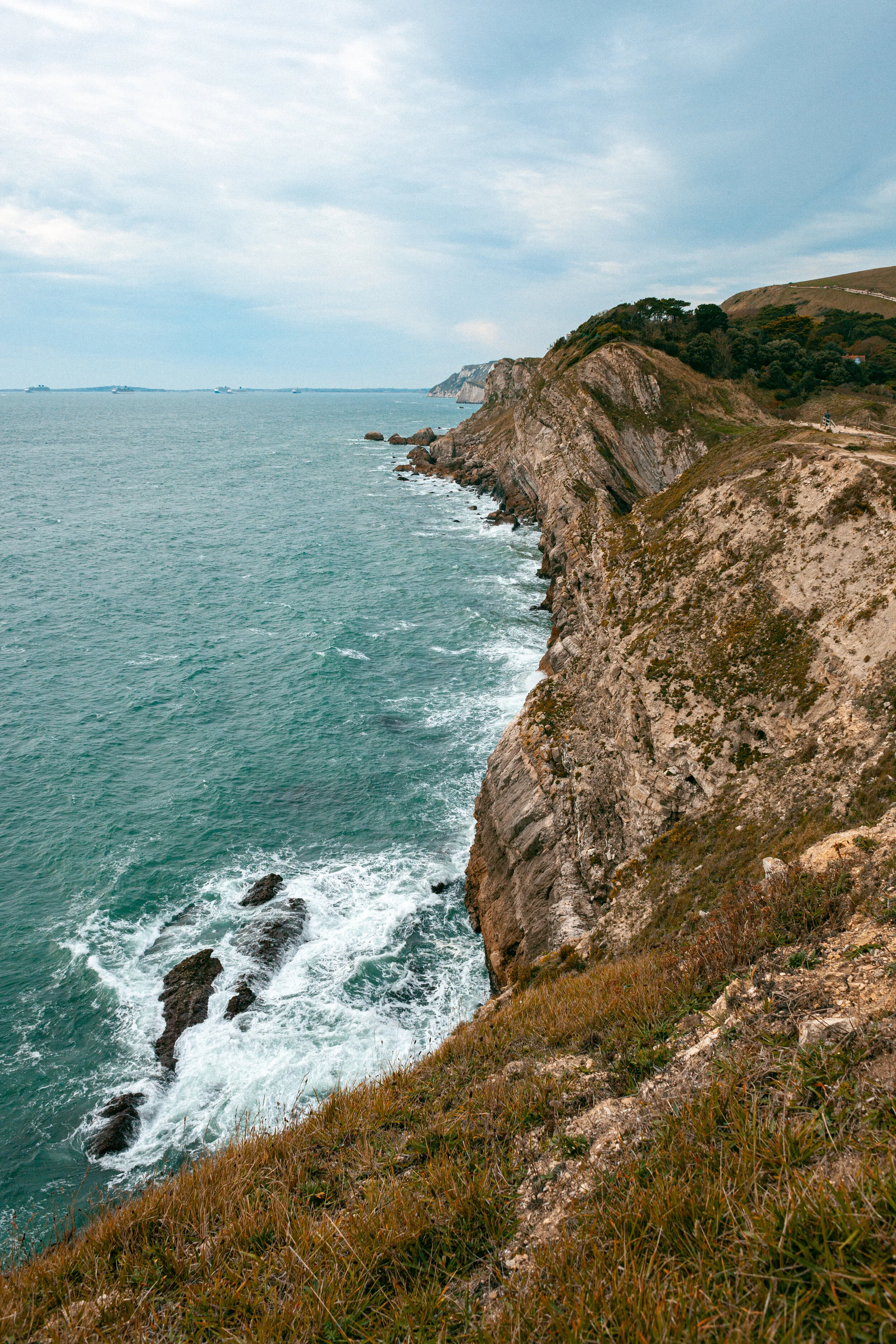 DOR_005_Jurassic-II.jpg