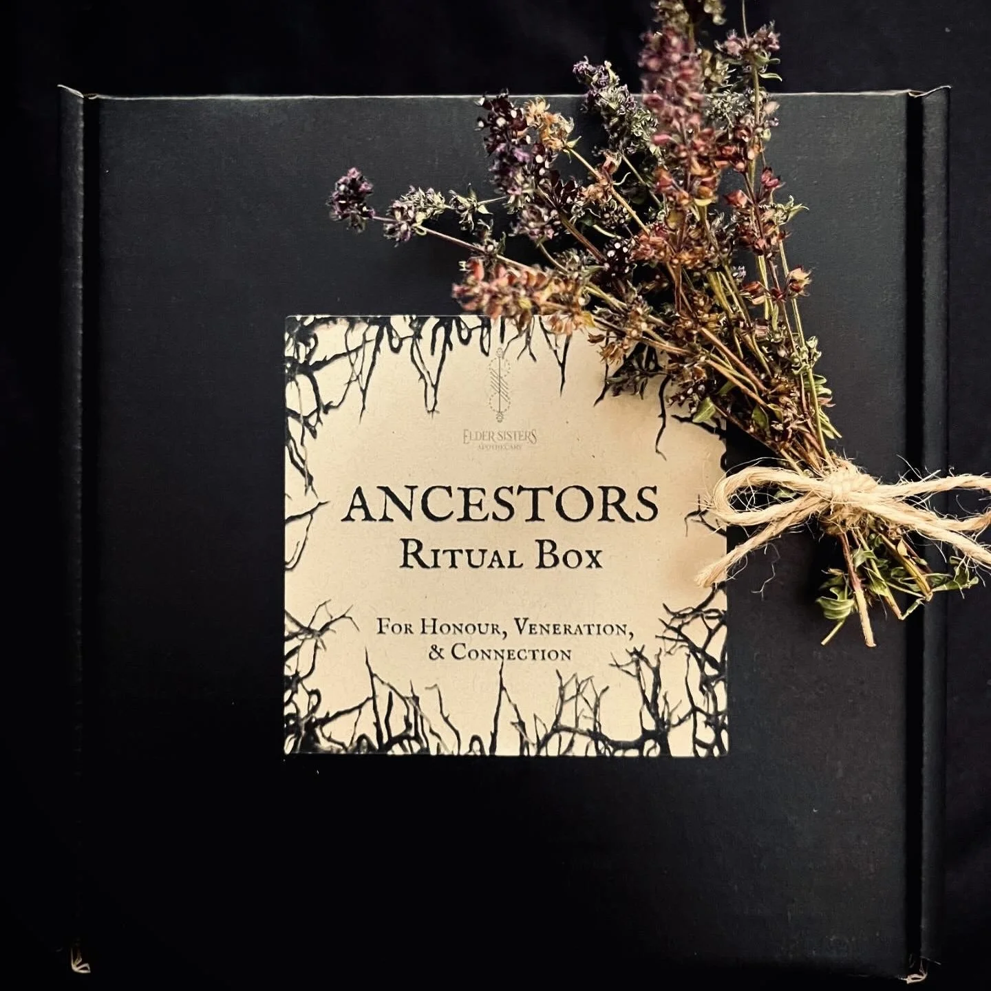 Ancestors Ritual Box Square 1.jpg