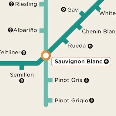 winetubemap+email.jpg