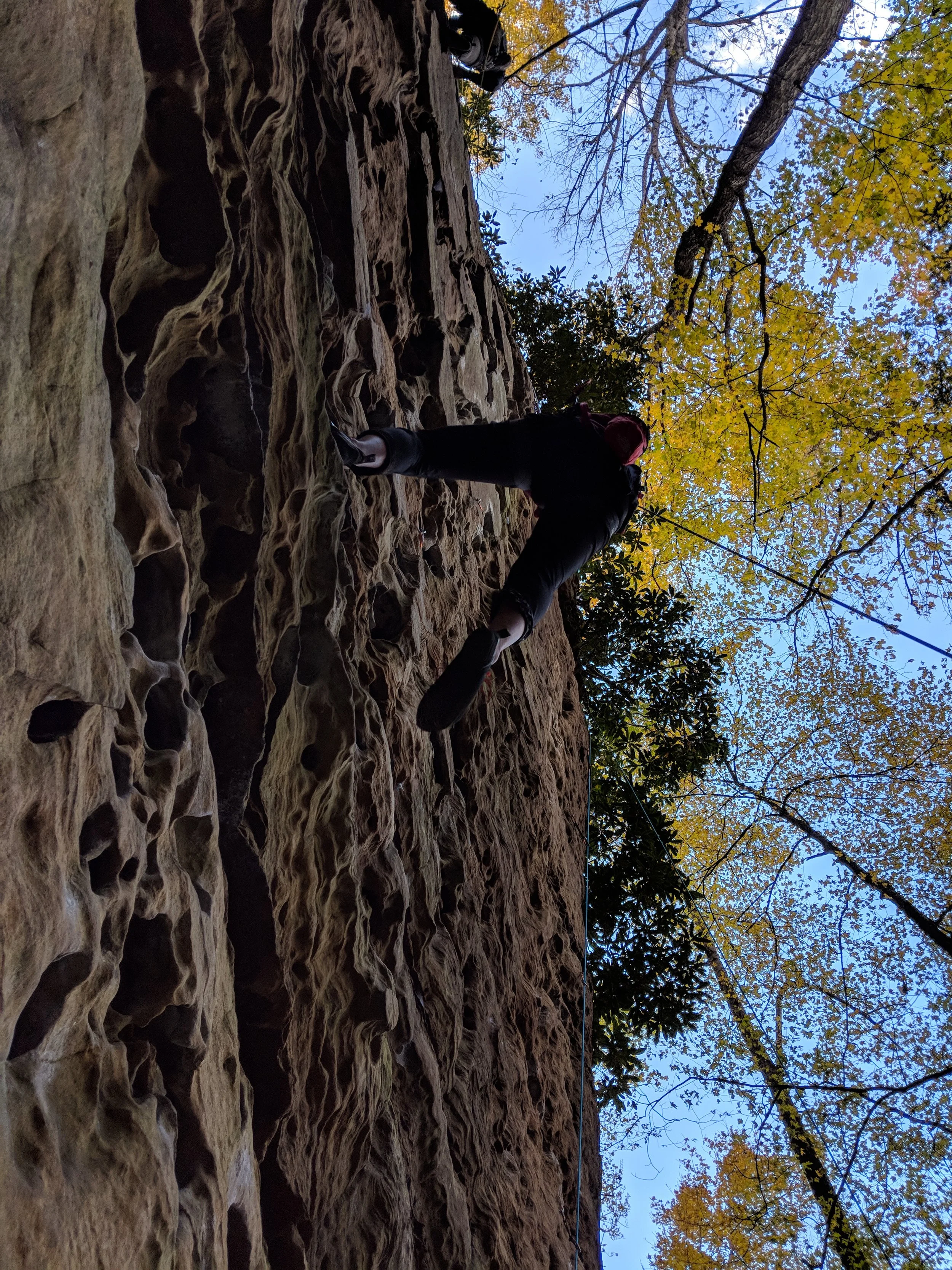 IMG_20181029_152245.jpg
