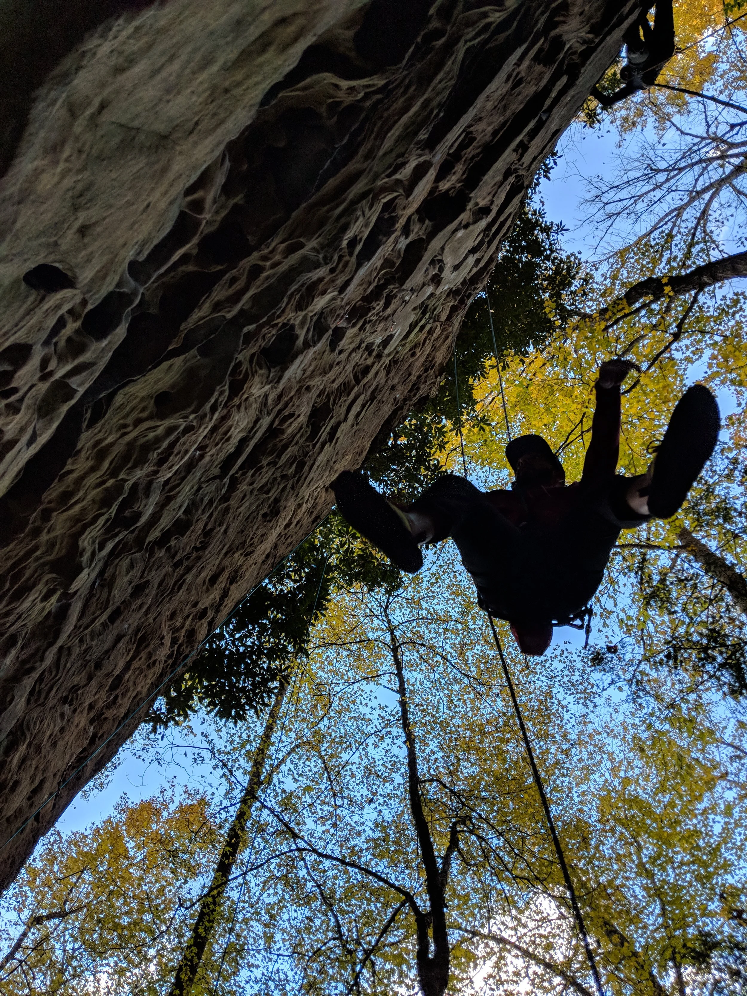 IMG_20181029_152251.jpg